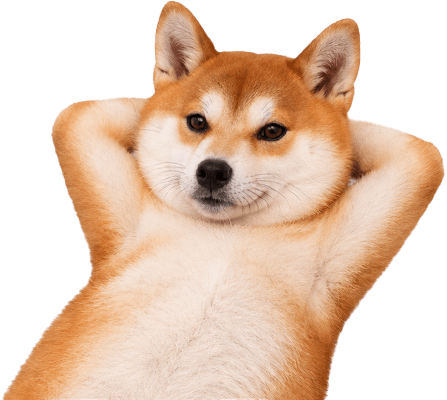TALKDOG
